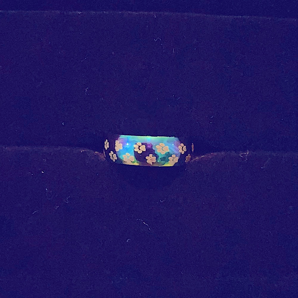 πΎ Rainbow Band with Puppy Paw Prints πΎ - NWOT - Picture 2 of 3